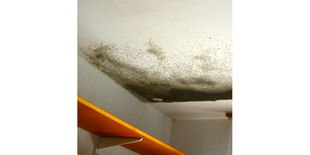 Actuel: Protection contre la moisissure - KefaRid Actuel: Protection contre la moisissure - KefaRid