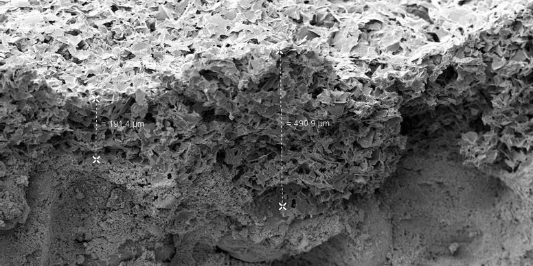 Revêtement KefaRid sur le béton Revêtement KefaRid sur le béton (observation au microscope électronique à balayage)